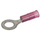Nsi R22-14N-BULK 22-18 Nylon Ring 1/4 Stud, 1000 Per Pack 22-18 AWG Nylon Insulated Ring 1/4" Stud, 1000 Per Pack Price For 1000