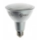 PAR30 Compact Fluorescents