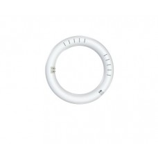Eiko 15330 T9 Plastic Circline - 8 in. Diameter - Type A+B - 11W -1400LM -35/40/50/65K - 120-277V