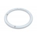 Eiko 15343 T9 Plastic Circline - 12 in. Diameter - Type A+B - 16W -2000LM - 35/40/50/65K - 120-277V22W