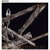 Eurofase 25601-015 - Bosco Collections - 8-Light Wood Chandelier - B10 - E12 - 120V