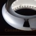 Eurofase 25735-017 - Luna Collections - 45-Light LED Large Pendant -  Chrome - LED bulbs - 120V