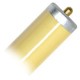75 Watt - 96" T12 Instant Start - Gold Fluorescent Tube -  F96T12/Gold - Industrial  *** Discontinued ***