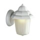 Galaxy-Lighting - 303045WH-  Outdoor Cast Aluminum Lantern - White w/ Frosted Glass