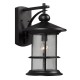 Galaxy-Lighting-319750BK-1-Light Outdoor Wall Mount Lantern with Clear Seeded Glass