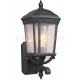Galaxy-Lighting - 320271BK -1-Light Outdoor Wall Mount Lantern - Black with Clear Seeded Glass