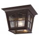 Galaxy-Lighting - 320389BZ - 1-Light Outdoor Flush Mount Ceiling Lantern - Bronze with Clear Water Glass