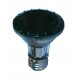 50W - Green -  PAR20 - Narrow Flood - Halogen - 130 Volt - 50PAR20/HAL/NFL/GREEN [** Discontinued **]