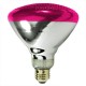 100 Watt - BR38 - Flood - Pink - 130Volt - Medium (E26) Base -100BR38/P - Symban