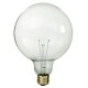 G40 Globe Bulbs