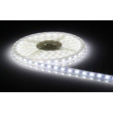 LED Strip - Flexible -5050 - CoolWhite - Waterpoof - LSTR5050CW-WP