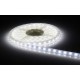 LED Strip - Flexible -5050 - CoolWhite - Non Waterpoof - LSTR5050CW-NW