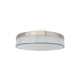 Reno R31044 5" Flushmount Decorative Dot Ceiling Fixture - 10W - 600 lm - 27/30/35/40/50K Selectable Wattage - 120V - IP65 Rated - Brushed Nickel Finish