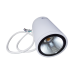 Reno R31403 LED 6" Ceiling Mount, Cylinder Downlight - 18/24/30W Selectable - 30/40/50K Selectable - 120-347V - 0-10V Dimming - WhiteLED Wall Sconce