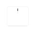 Reno R75201 RENO-RS-GW-BCNW - Bluetooth Ceiling mounted gateway - Reset by relay